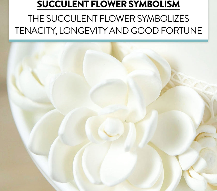 Global Sugar Art Succulent Opalina Sugar Cake Flowers White with Wire, 3 Count by Chef Alan Tetreault