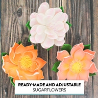 Protea Sugar Cake Flowers by Global Sugar Art, Assortment, 3 Count