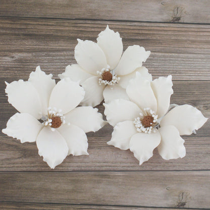 White Clematis, 3 Count