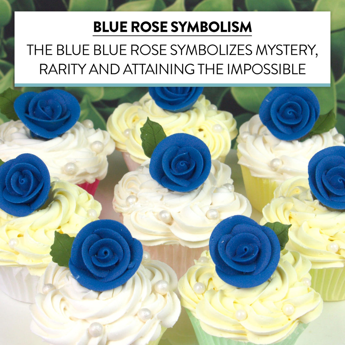 Premium Edible Roses for Cakes and Cupcakes, Sweet Royal Icing Roses, by Global Sugar Art, Royal Blue