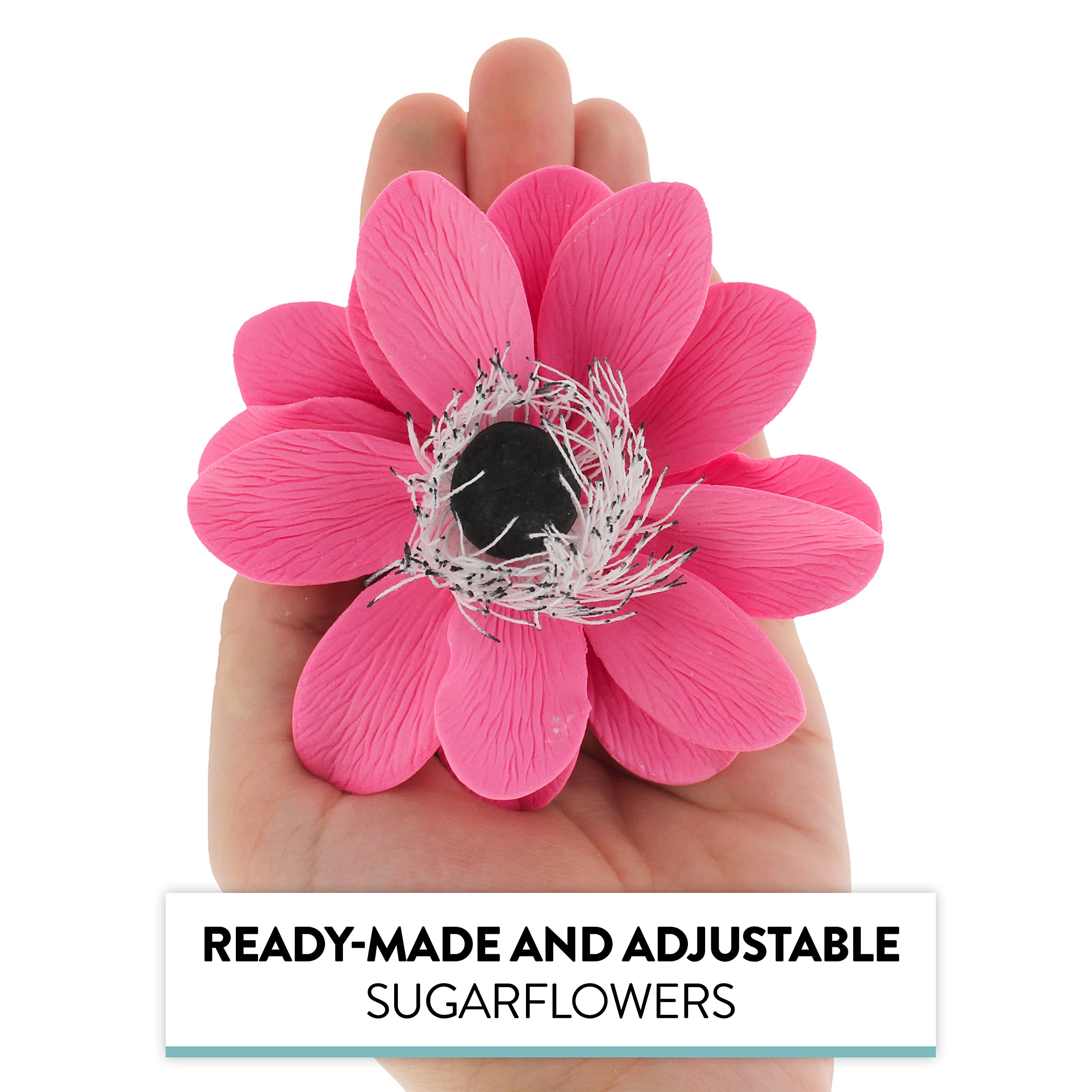 Global Sugar Art Sugar Pink and Black Anemone by Chef Alan Tetreault, 3 Count