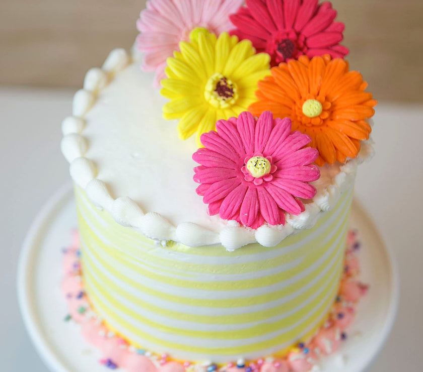Global Sugar Art Gerbera Daisy Sugar Cake Flowers, Mixed Colors, 8 Count by Chef Alan Tetreault