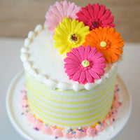 Global Sugar Art Gerbera Daisy Sugar Cake Flowers, Mixed Colors, 8 Count by Chef Alan Tetreault