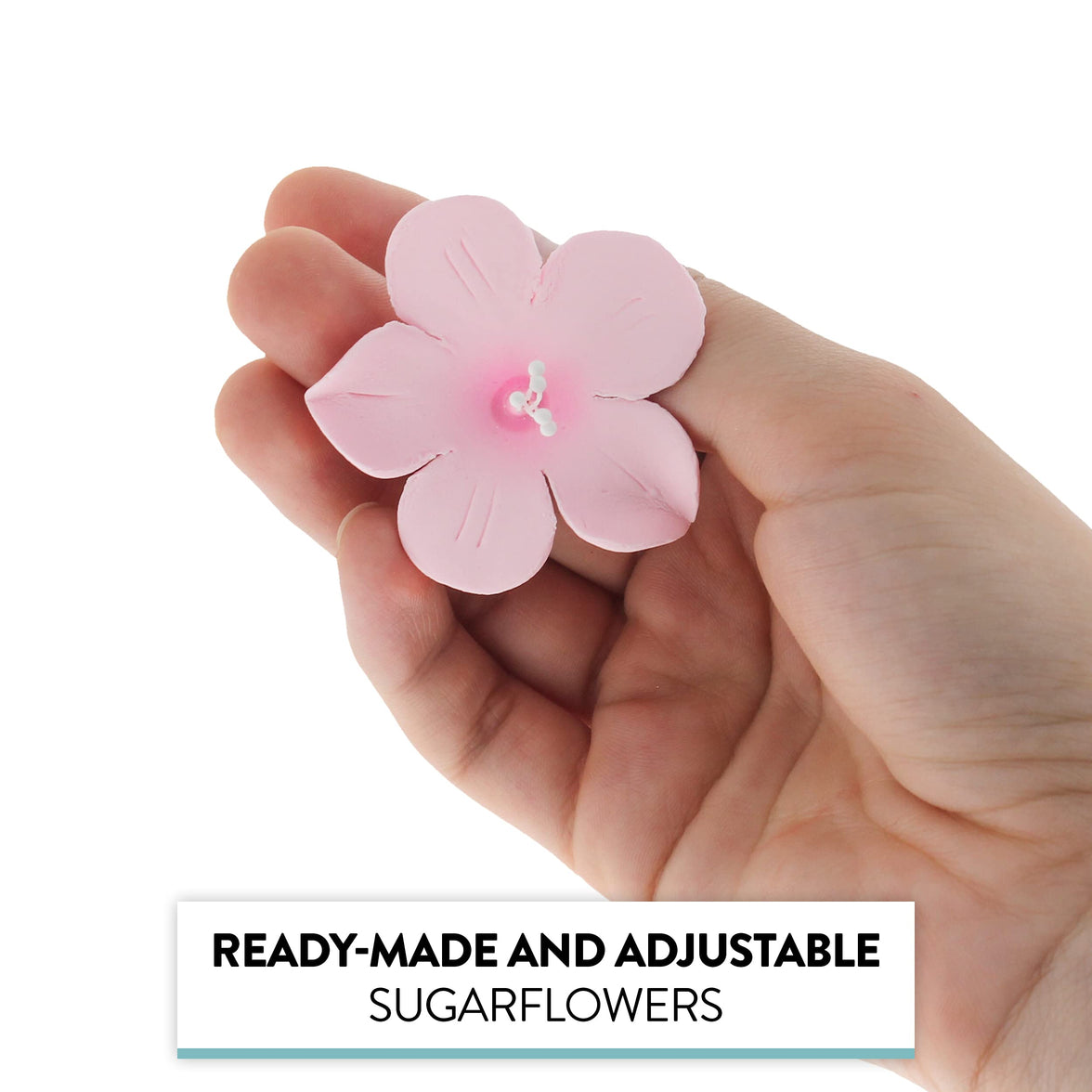 Global Sugar Art Fruit Blossom Sugar Cake Flowers by Chef Alan Tetreault