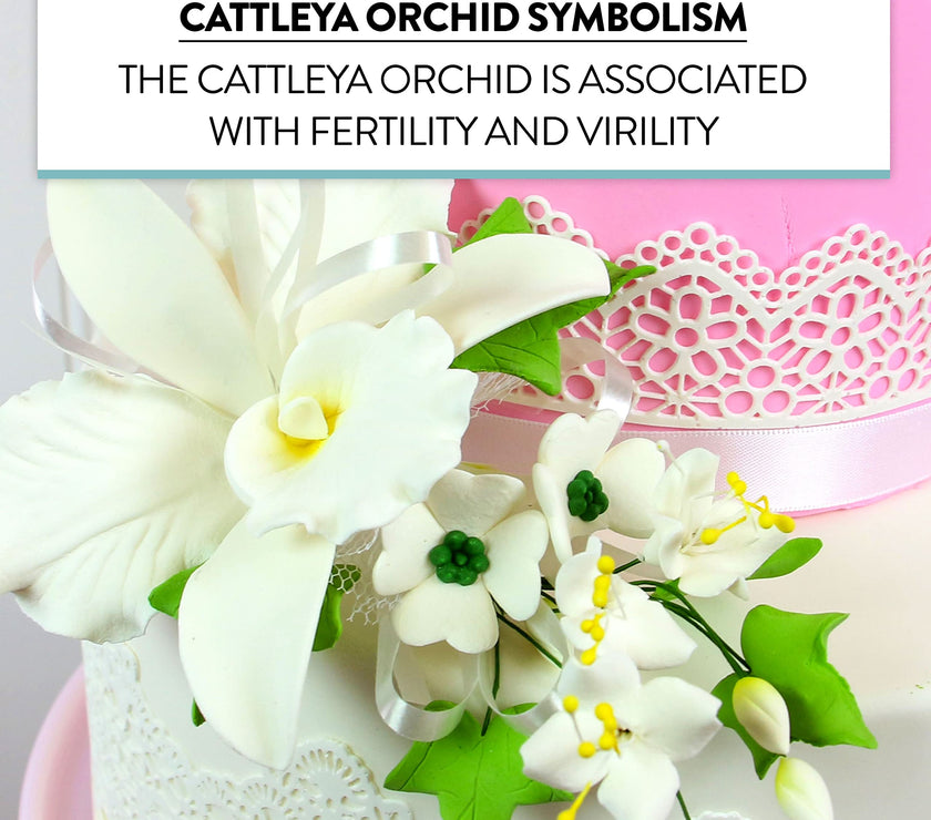Orchid Sugar Cake Flower Sprays, White Cattleya Orchid Spray, by Global Sugar Art