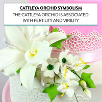 Orchid Sugar Cake Flower Sprays, White Cattleya Orchid Spray, by Global Sugar Art