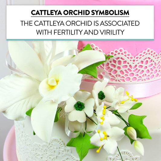 White Cattleya Orchid Spray