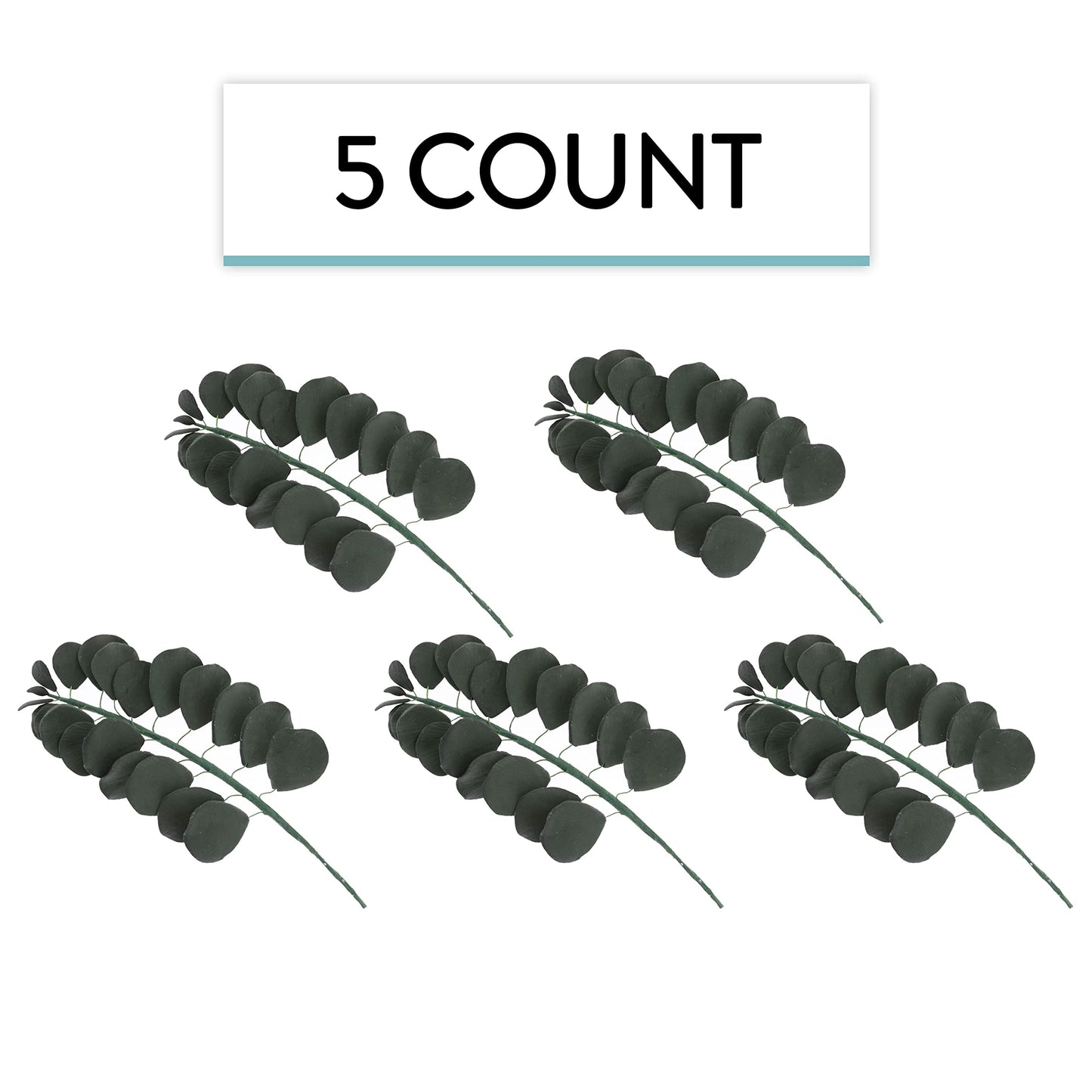 Green Eucalyptus, 5 Count