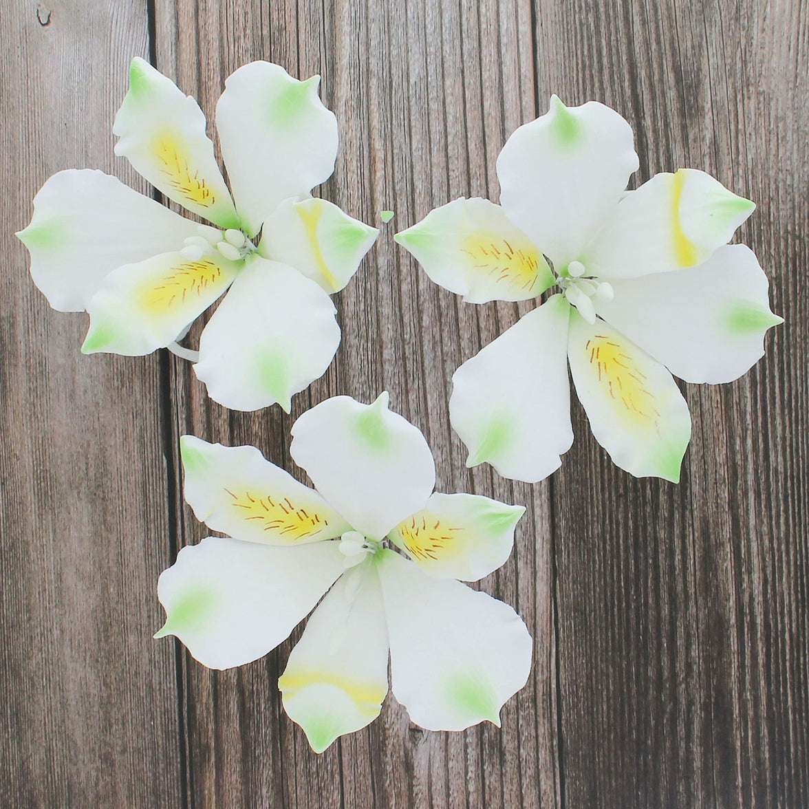 Global Sugar Art White Alstroemeria Sugar Cake Flowers by Chef Alan Tetreault, 3 Count