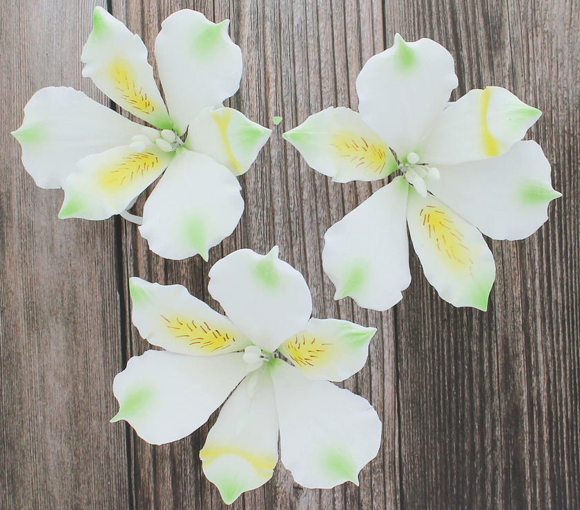 Global Sugar Art White Alstroemeria Sugar Cake Flowers by Chef Alan Tetreault, 3 Count