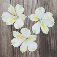 Global Sugar Art White Alstroemeria Sugar Cake Flowers by Chef Alan Tetreault, 3 Count