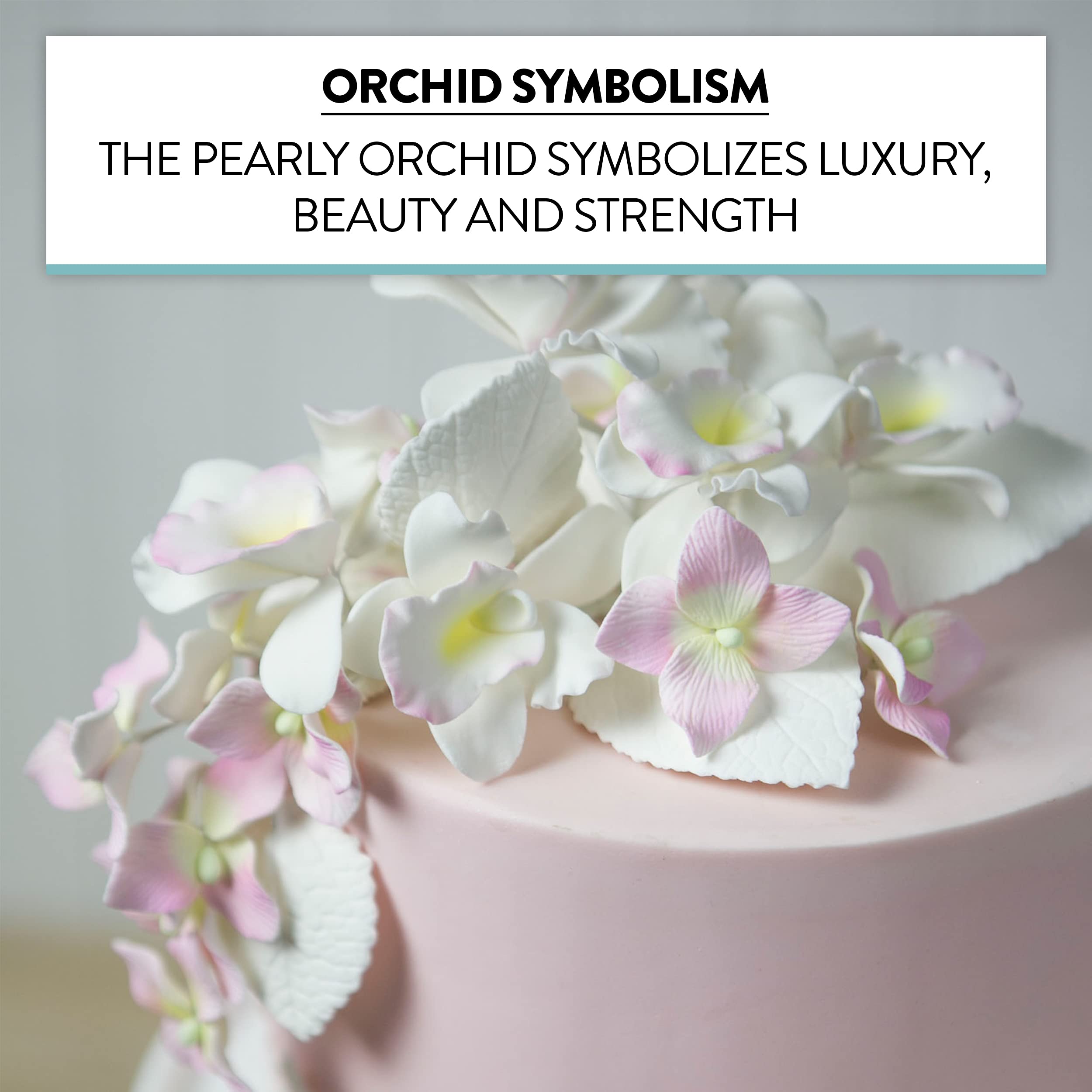 Orchid Sugar Cake Flowers, Pearly Orchids, by Global Sugar Art, Small, White, 6 Count