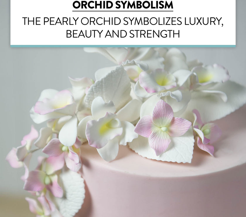 Orchid Sugar Cake Flowers, Pearly Orchids, by Global Sugar Art, Small, White, 6 Count