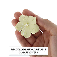 Global Sugar Art Fruit Blossom Sugar Cake Flowers by Chef Alan Tetreault