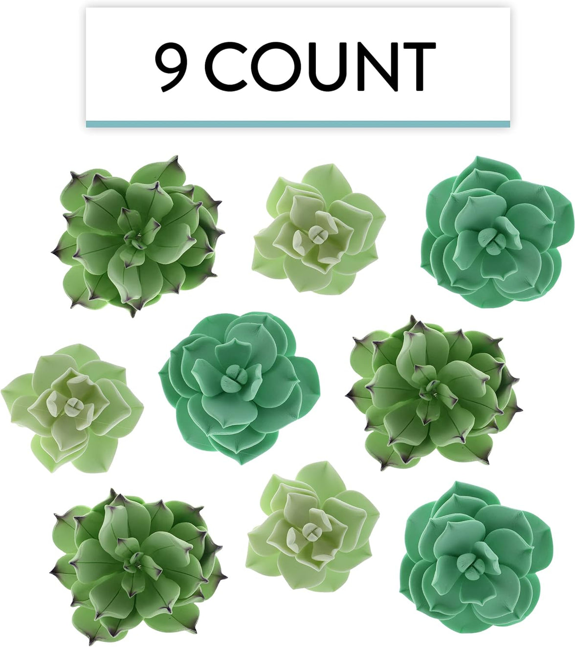 Global Sugar Art Succulents Sugar Cake Flowers, Garden Variety, by Chef Alan Tetreault