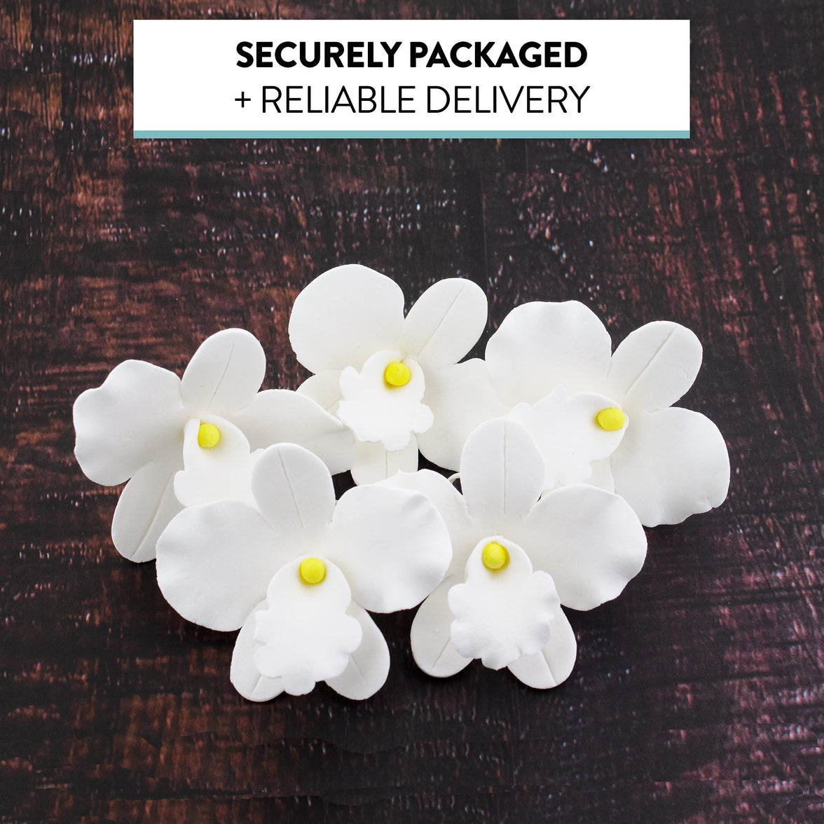 Orchid Sugar Cake Flowers, African Orchids, by Global Sugar Art, White, 6 Count