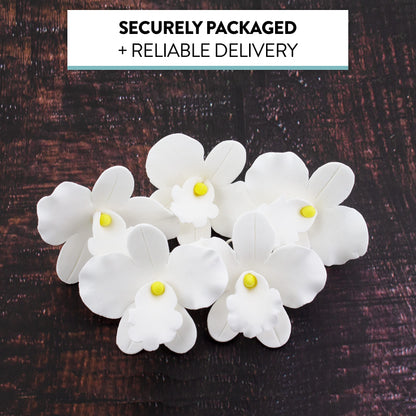 White African Orchids, Small, 6 Count