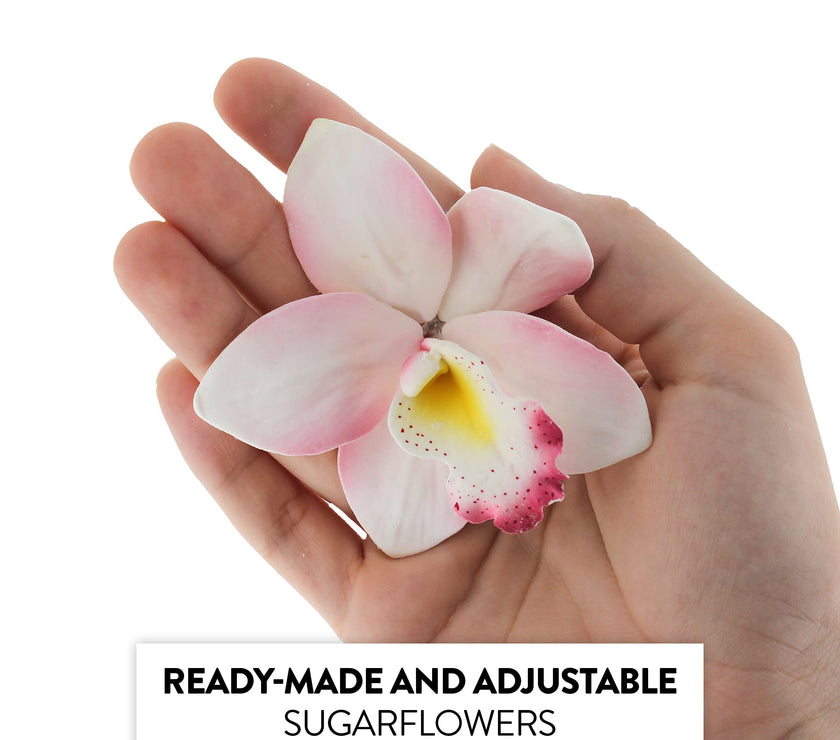 Orchid Sugar Cake Flowers, Cymbidium Orchids, by Global Sugar Art, Pink, 3 Count