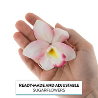 Orchid Sugar Cake Flowers, Cymbidium Orchids, by Global Sugar Art, Pink, 3 Count