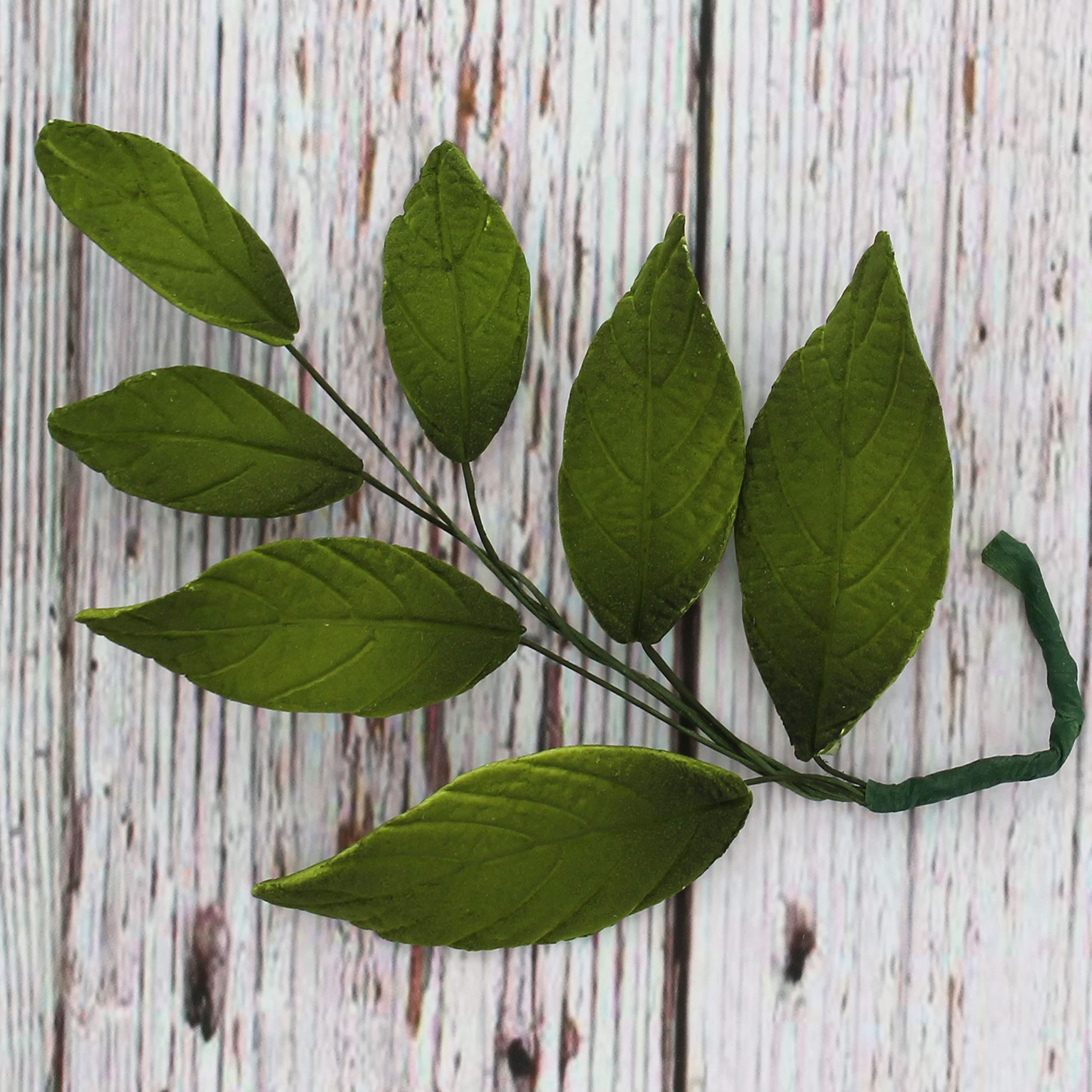 Dark Green Leaf  Spray  Cake Decoration by Chef Alan Tetreault, Global Sugar Art, 4 Count