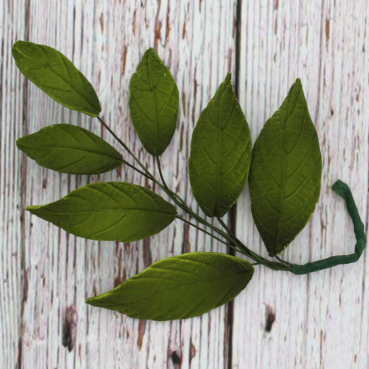 Dark Green Leaf  Spray  Cake Decoration by Chef Alan Tetreault, Global Sugar Art, 4 Count