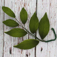 Dark Green Leaf  Spray  Cake Decoration by Chef Alan Tetreault, Global Sugar Art, 4 Count