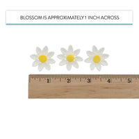 Edible Daisy Cake Decorations, White and Yellow Sugar Flowers, Unwired 1 Inch, Daisy Cupcake Toppers, Edible Flowers Cake Decorations by Chef Alan Tetreault, Global Sugar Art