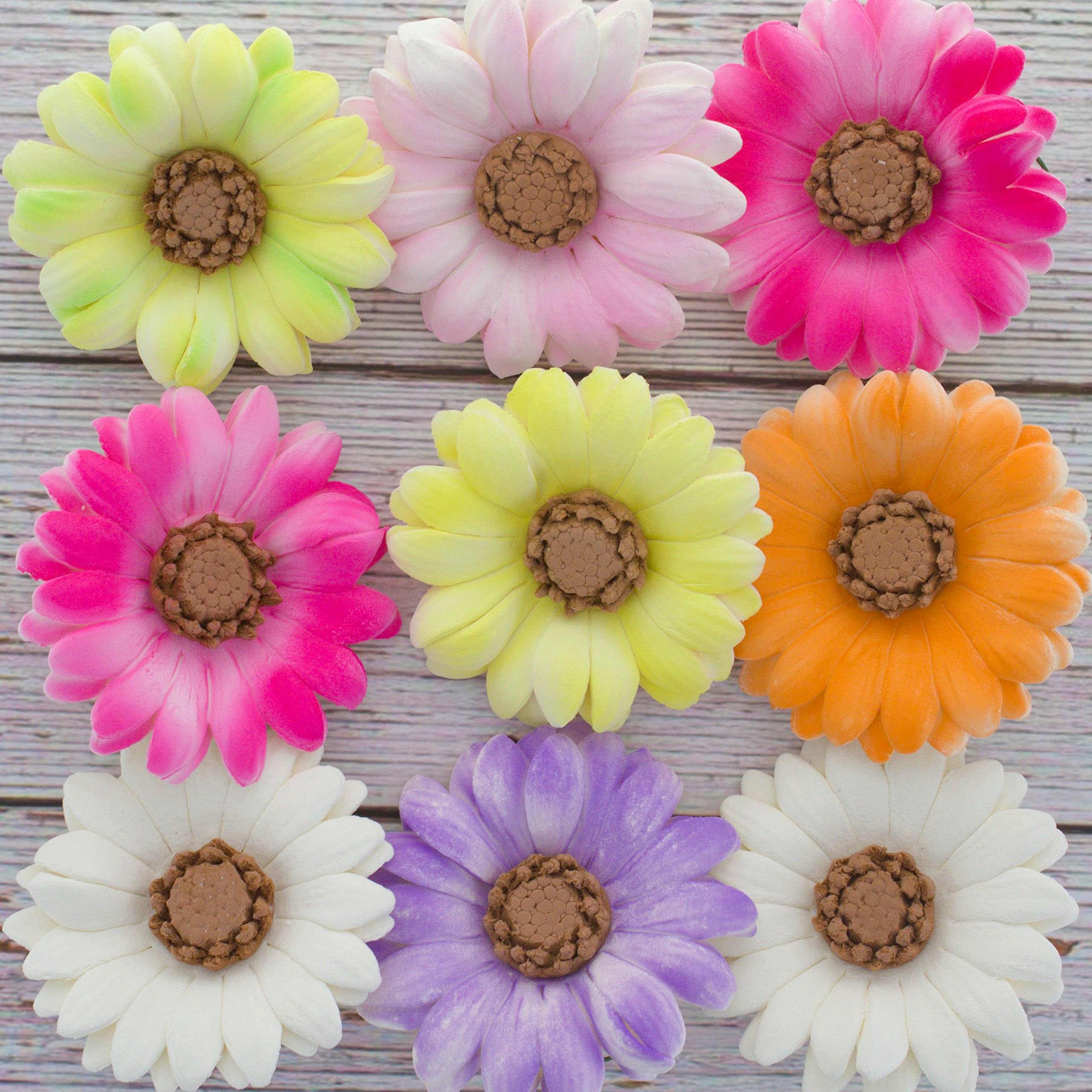 Global Sugar Art Summer Gerbera Daisy Sugar Cake Flowers Mixed Colors, 9 Count by Chef Alan Tetreault