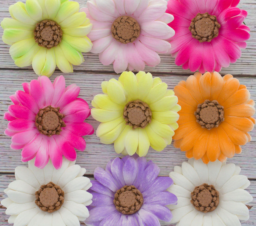 Global Sugar Art Summer Gerbera Daisy Sugar Cake Flowers Mixed Colors, 9 Count by Chef Alan Tetreault