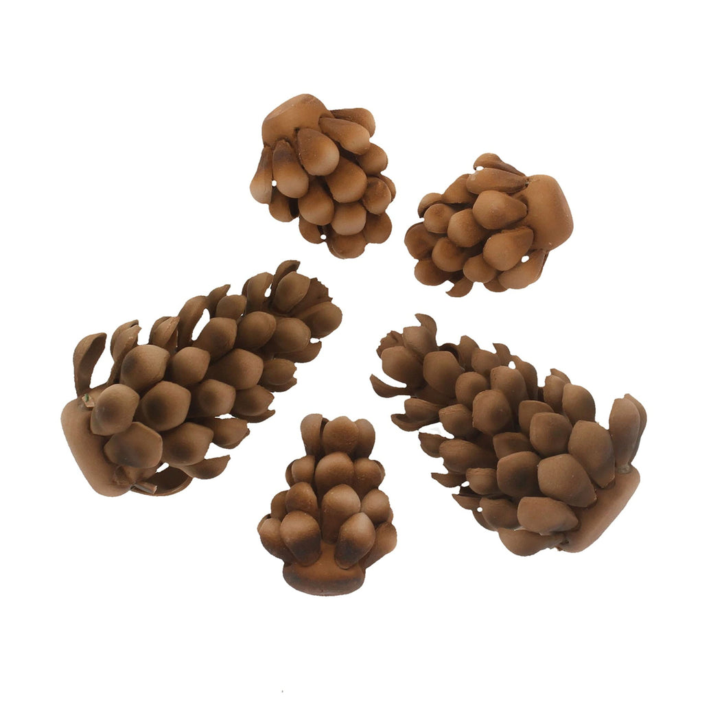 Global Sugar Art Pinecone Assortment Sugar Cake Flowers, 5 Count by Chef Alan Tetreault