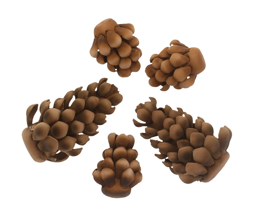 Global Sugar Art Pinecone Assortment Sugar Cake Flowers, 5 Count by Chef Alan Tetreault