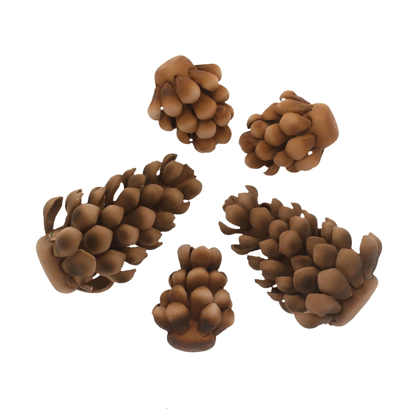 Pinecone, Assorted Sizes, 5 Count