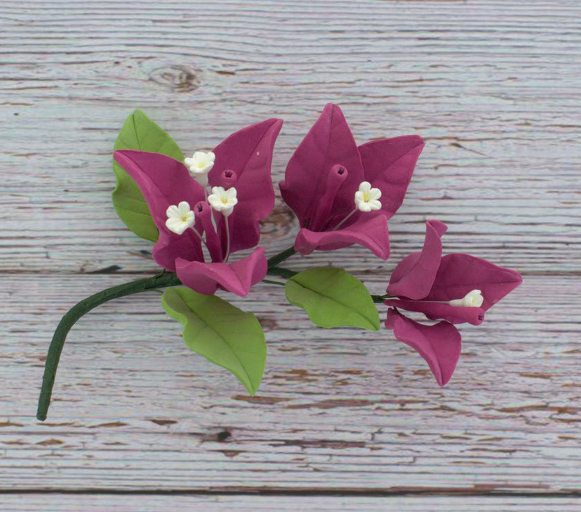 Bougainvillea Sugar Cake Flowers, Tropical Cake Decorations, by Global Sugar Art, Magenta