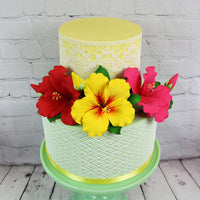 Geometric Wide Borders Silicone Lace Mat for Cake Decorating, by Global Sugar Art