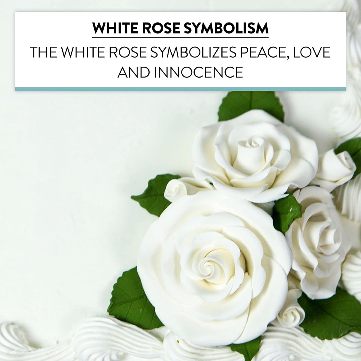 Exquisite Rose & Leaf Kit, Sugar Cake Flowers by Global Sugar Art, White Roses with Leaves, 65-Piece Set