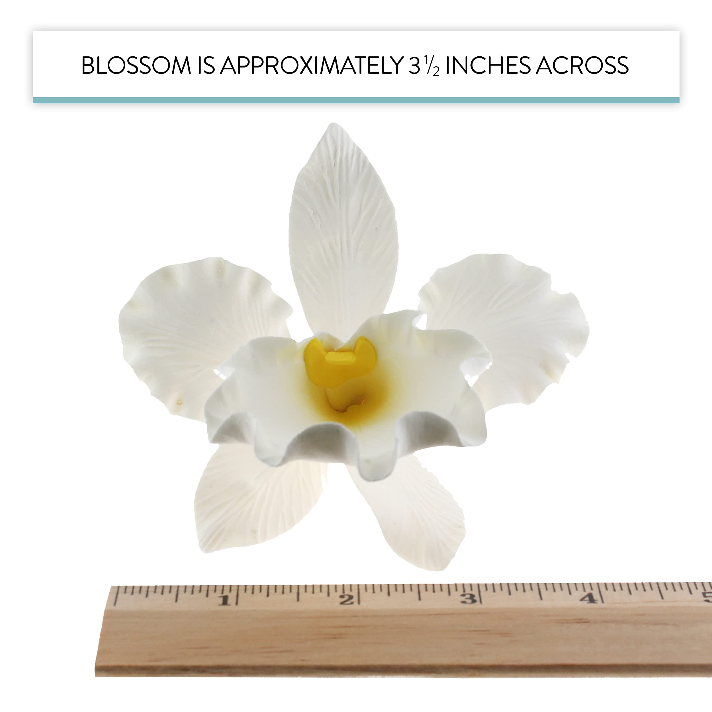 Orchid Sugar Cake Flowers, Cattleya Orchid, by Global Sugar Art, Large, White, 1 Count