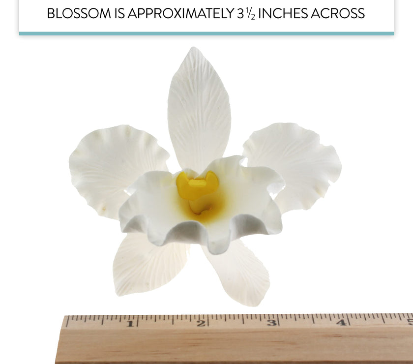 Orchid Sugar Cake Flowers, Cattleya Orchid, by Global Sugar Art, Large, White, 1 Count