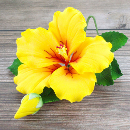 Yellow Tropical Hibiscus with Leaves