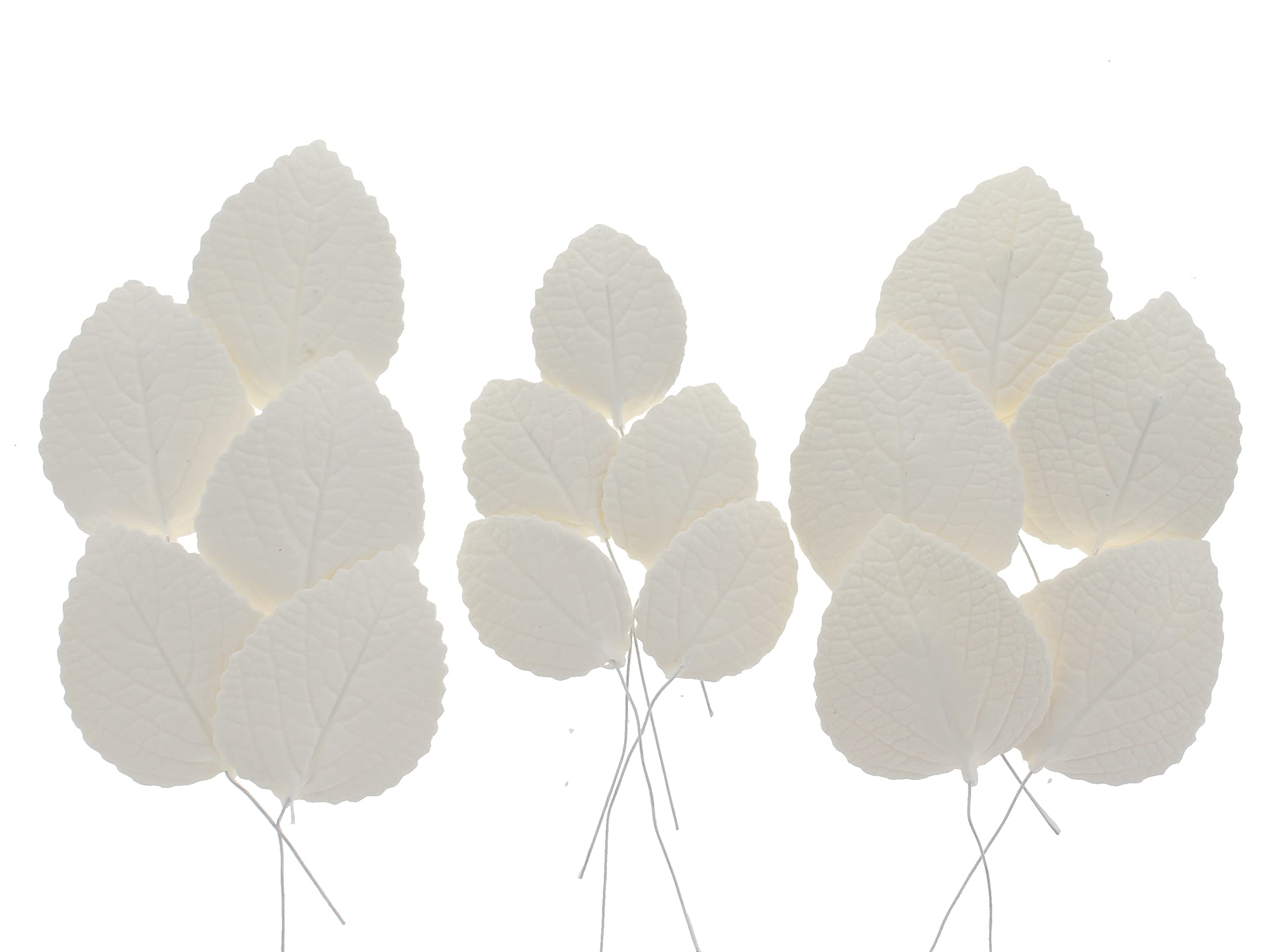 Hydrangea Leaves, Gum Paste Cake Decorations by Global Sugar Art, White, Multiple Sizes