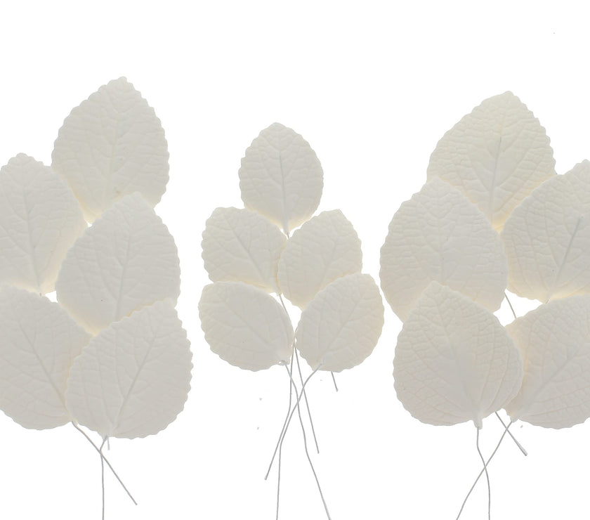 Hydrangea Leaves, Gum Paste Cake Decorations by Global Sugar Art, White, Multiple Sizes