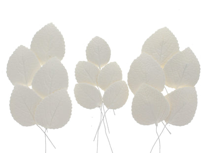 White Hydrangea Leaves