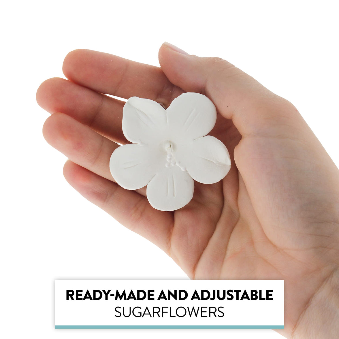 Global Sugar Art Fruit Blossom Sugar Cake Flowers by Chef Alan Tetreault