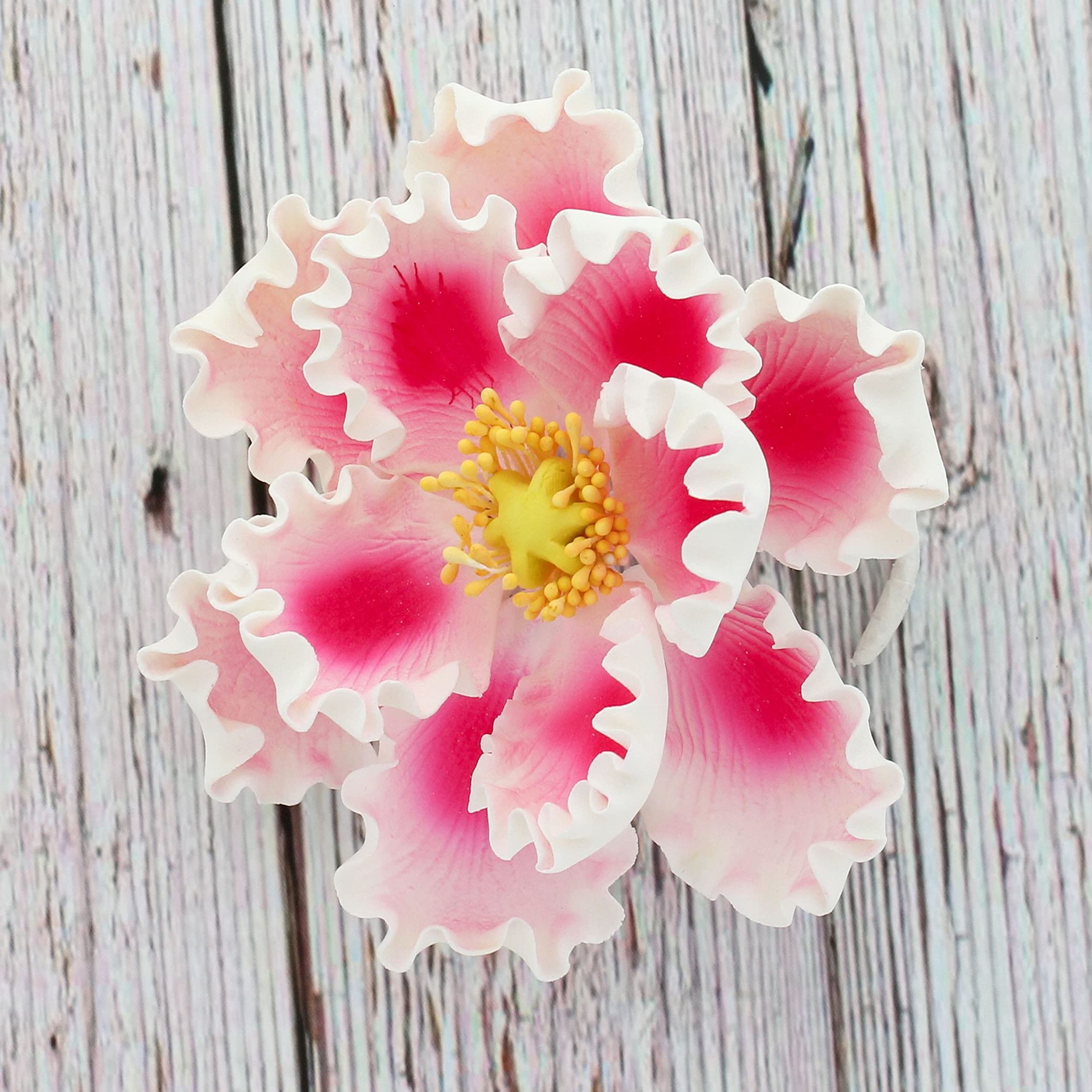 Deluxe Peony Decoration for Cakes, by Global Sugar Art, Pink with White