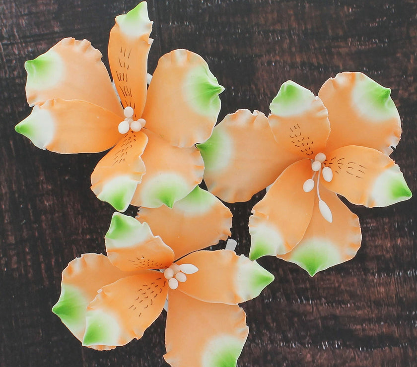 Global Sugar Art Orange Alstroemeria Sugar Cake Flowers by Chef Alan Tetreault, 3 Count
