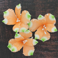 Global Sugar Art Orange Alstroemeria Sugar Cake Flowers by Chef Alan Tetreault, 3 Count