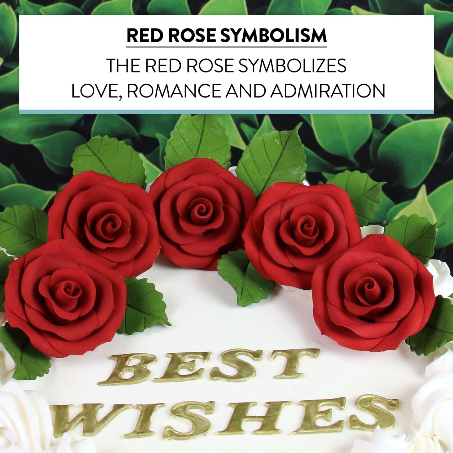 Red Roses, Unwired, 2-inch, 12 Count