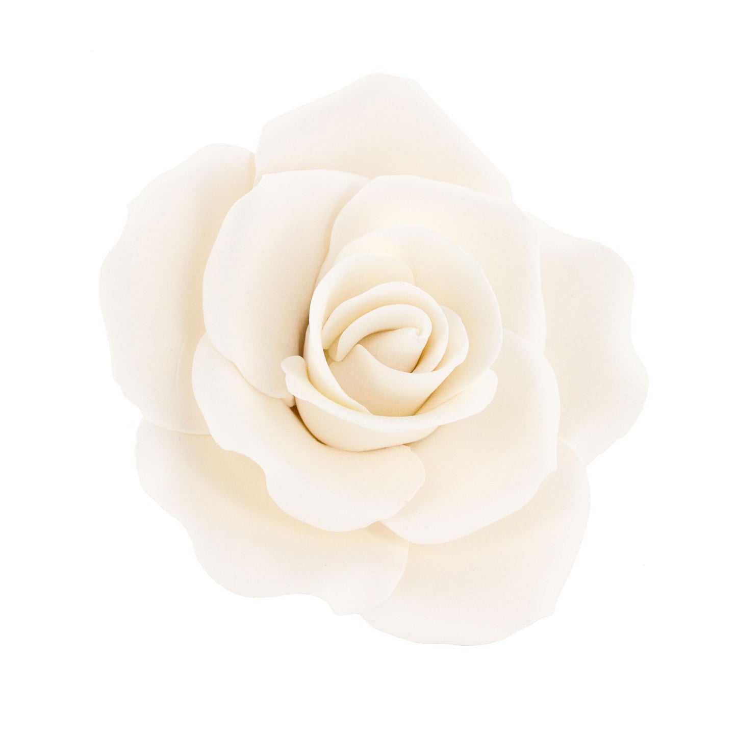 White Rose, Jumbo Bloom
