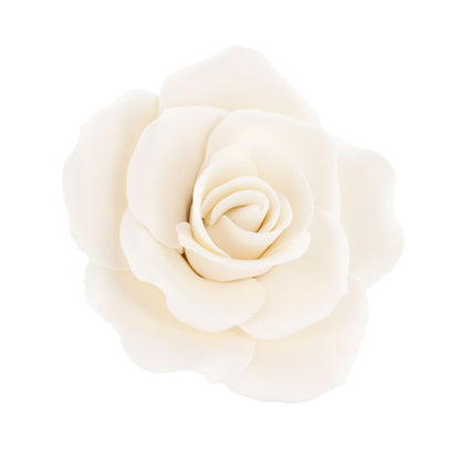 White Rose, Jumbo Bloom