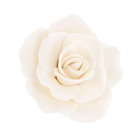 White Rose, Jumbo Bloom