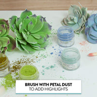 Global Sugar Art Succulents Sugar Cake Flowers, Garden Variety, by Chef Alan Tetreault